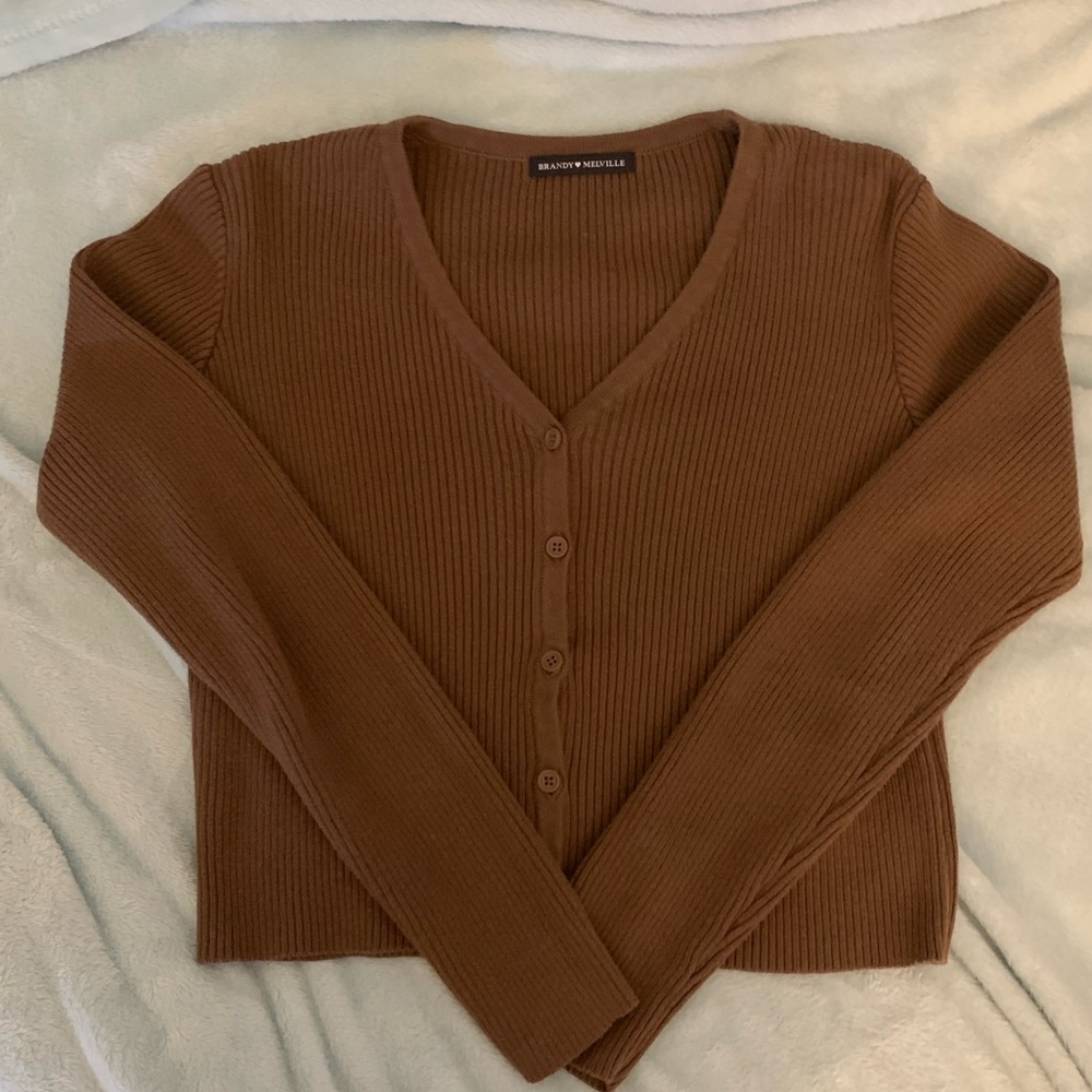 brandy melville brown shannon sweater!
